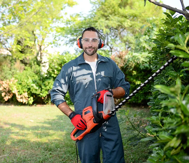 taille haie à Chéniers dans la creuse 23